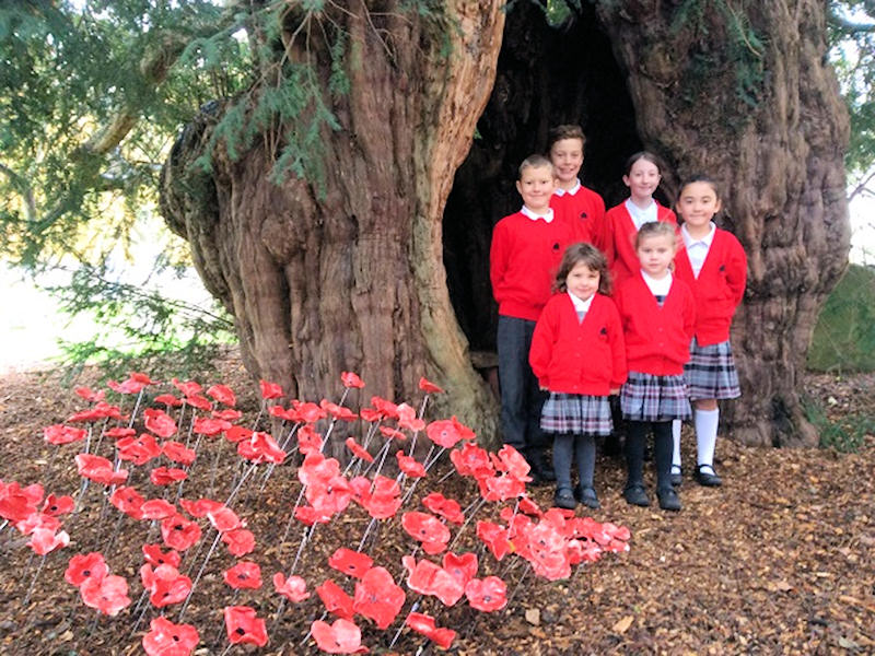 Remembrance Day Poppy Making