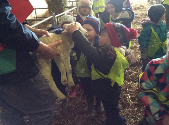 Class 1 and Nursery at Westons Farm