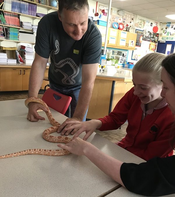 St Mary’s Science Festival