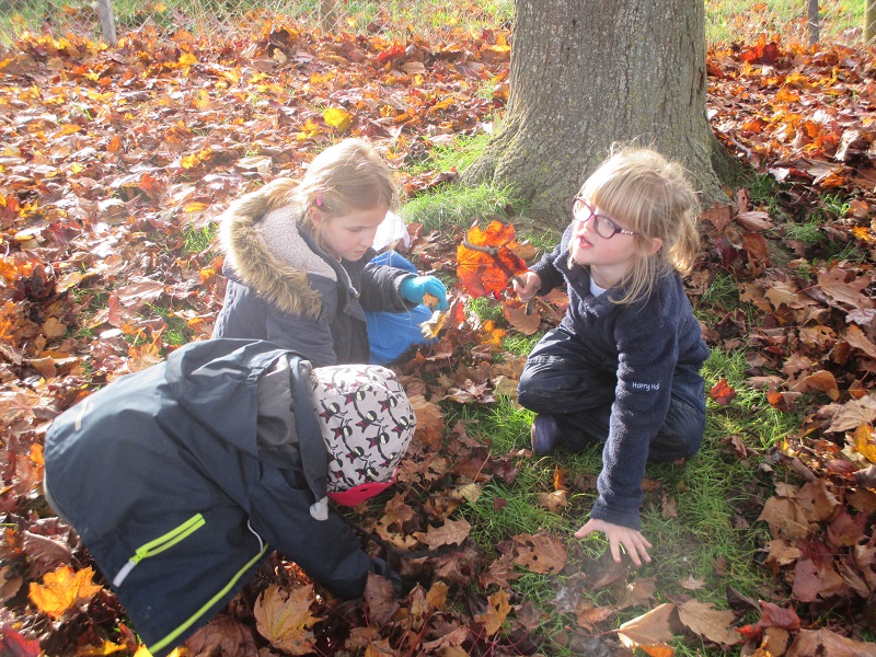 KS1 Forest School