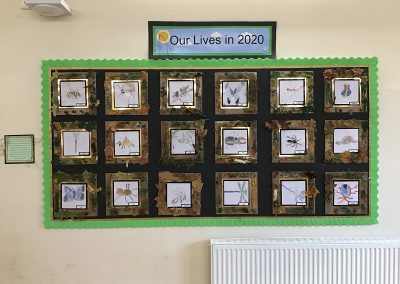 Class 3 - Watercolour Insects