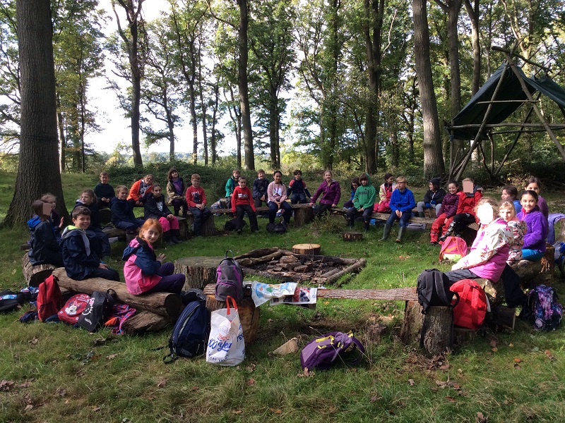 Whole School Forest School