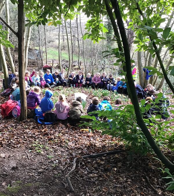 KS1 Forest School