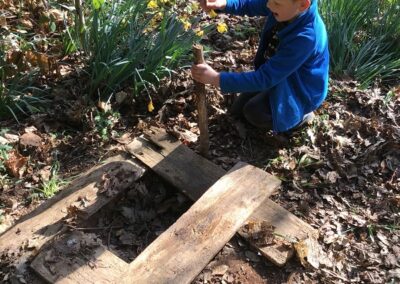 We built nests for the found eggs.